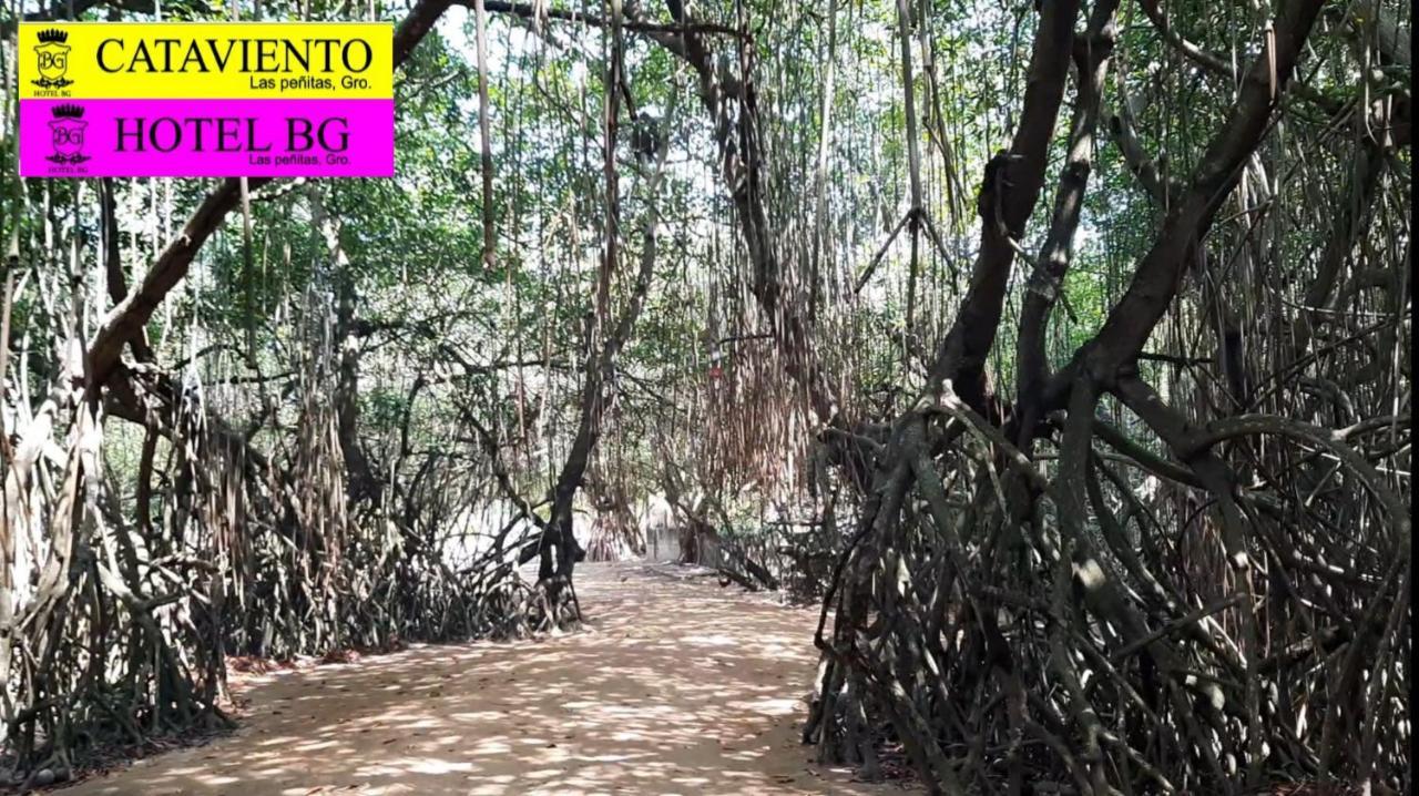 Cataviento Hotel Tecoanapa المظهر الخارجي الصورة