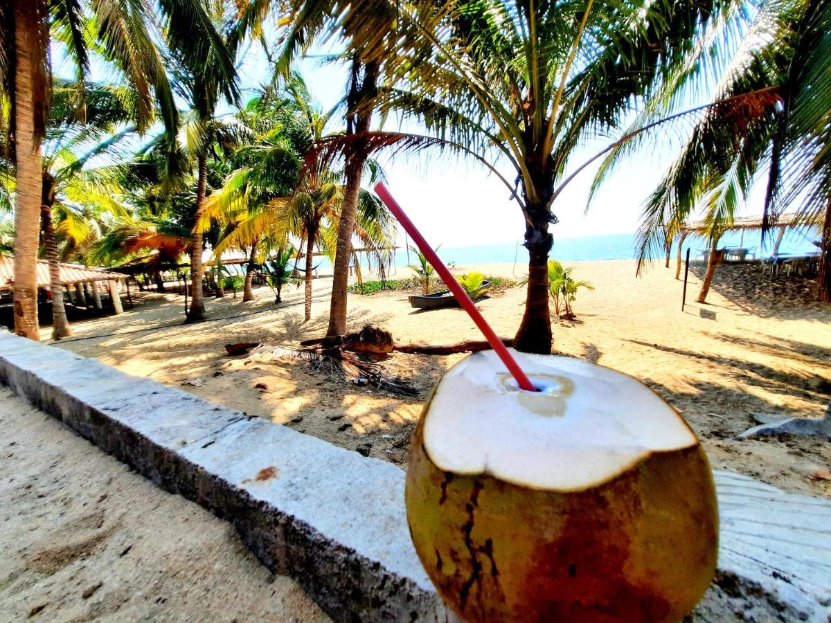 Cataviento Hotel Tecoanapa المظهر الخارجي الصورة