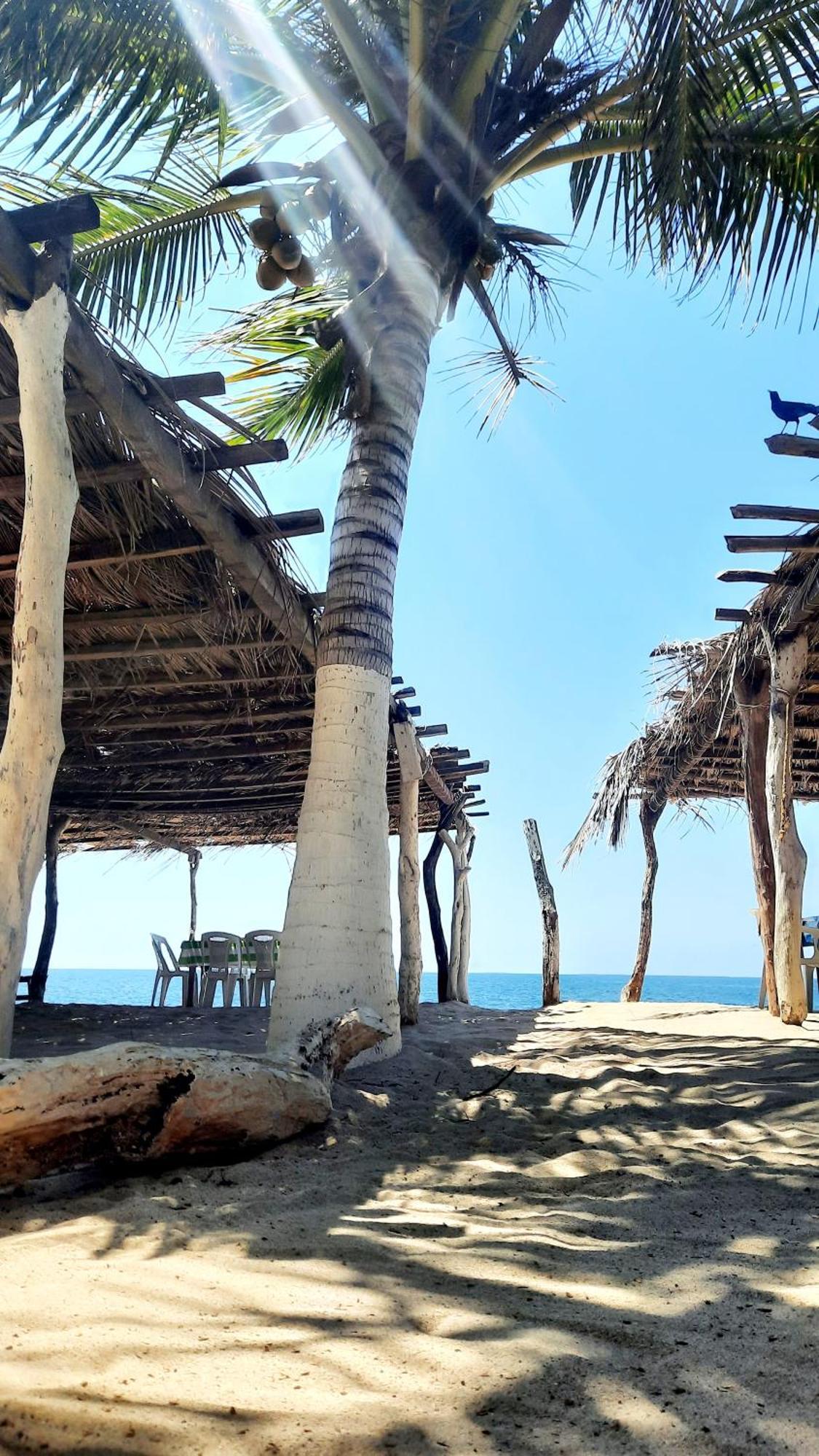 Cataviento Hotel Tecoanapa المظهر الخارجي الصورة